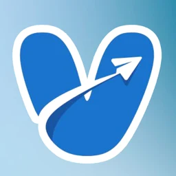 飞V logo